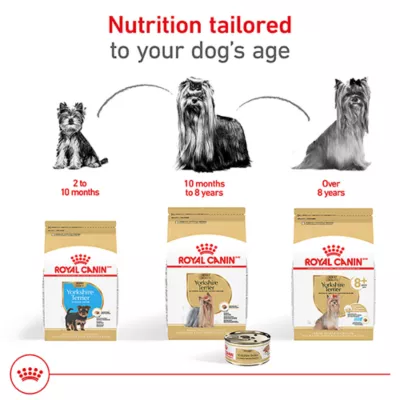 Product Royal Canin Breed Health Nutrition Yorkshire Terrier Adult Wet Dog Food - 3 oz (6 Count)