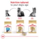 Product Royal Canin Breed Health Nutrition Yorkshire Terrier Adult Wet Dog Food - 3 oz (6 Count)