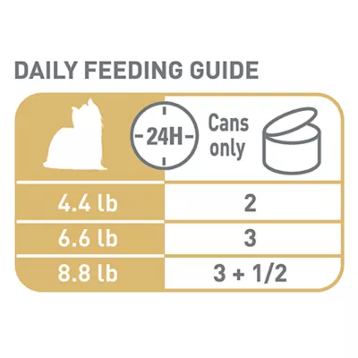 Product Royal Canin Breed Health Nutrition Yorkshire Terrier Adult Wet Dog Food - 3 oz (6 Count)