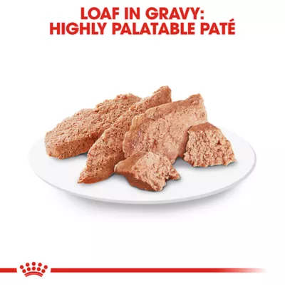 Product Royal Canin Breed Health Nutrition Shih Tzu Adult Wet Dog Food - 3 oz (6 Count)