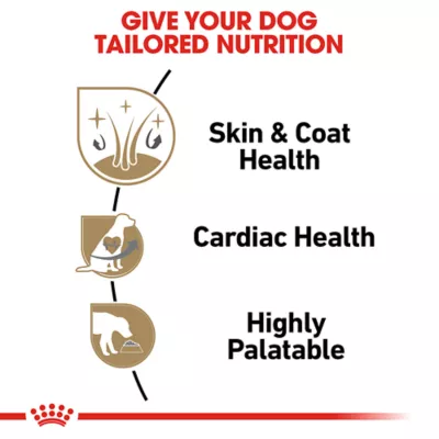 Product Royal Canin Breed Health Nutrition Shih Tzu Adult Wet Dog Food - 3 oz (6 Count)