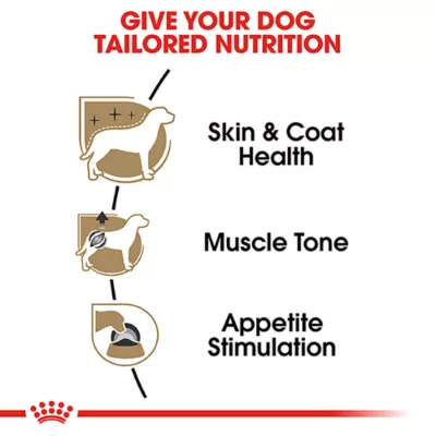 Product Royal Canin Breed Health Nutrition Poodle Adult Wet Dog Food - 3 oz (6 Count)