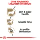 Product Royal Canin Breed Health Nutrition Poodle Adult Wet Dog Food - 3 oz (6 Count)