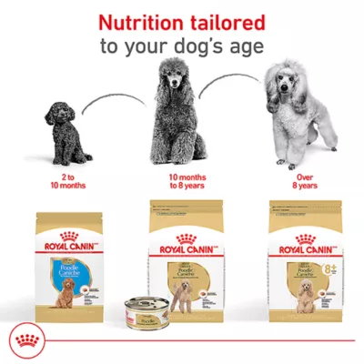 Product Royal Canin Breed Health Nutrition Poodle Adult Wet Dog Food - 3 oz (6 Count)