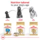 Product Royal Canin Breed Health Nutrition Poodle Adult Wet Dog Food - 3 oz (6 Count)
