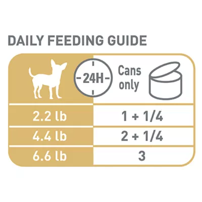 Product Royal Canin Breed Health Nutrition Chihuahua Adult Wet Dog Food - 3 oz (6 Count)