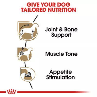 Product Royal Canin Breed Health Nutrition Dachshund Adult Wet Dog Food - 3 oz (6 Count)