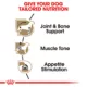 Product Royal Canin Breed Health Nutrition Dachshund Adult Wet Dog Food - 3 oz (6 Count)