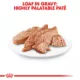 Product Royal Canin Breed Health Nutrition Dachshund Adult Wet Dog Food - 3 oz (6 Count)