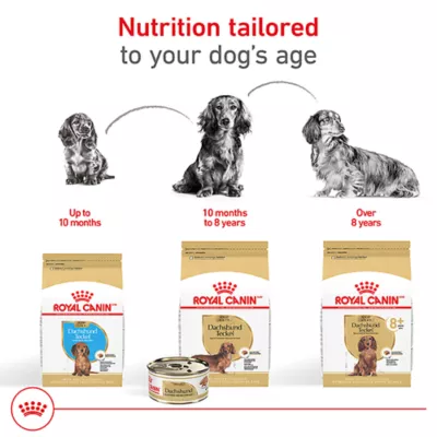Product Royal Canin Breed Health Nutrition Dachshund Adult Wet Dog Food - 3 oz (6 Count)