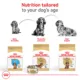 Product Royal Canin Breed Health Nutrition Dachshund Adult Wet Dog Food - 3 oz (6 Count)