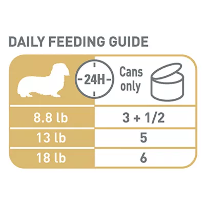 Product Royal Canin Breed Health Nutrition Dachshund Adult Wet Dog Food - 3 oz (6 Count)