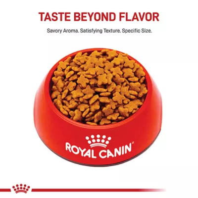 Product Royal Canin Size Health Nutrition Small Breed Adult Dry Dog Food