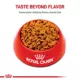 Product Royal Canin Size Health Nutrition Small Breed Adult Dry Dog Food