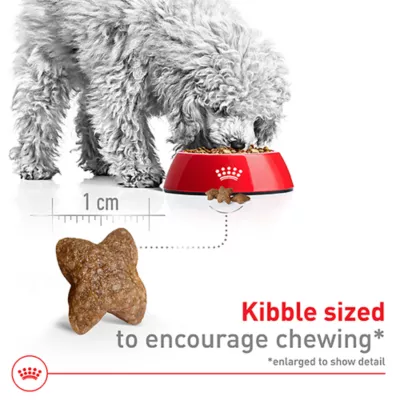 Product Royal Canin Size Health Nutrition Small Breed Adult Dry Dog Food