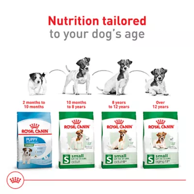 Product Royal Canin Size Health Nutrition Small Breed Adult Dry Dog Food
