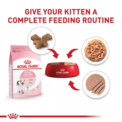 Product Royal Canin Kitten Wet Food - Texture Variety Pack, 12 Ct, 2.2 Lb
