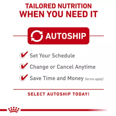 Product Royal Canin Adult Cat Wet Food - Indoor, Morsels in Gravy, 12 Ct, 2.2 Lb