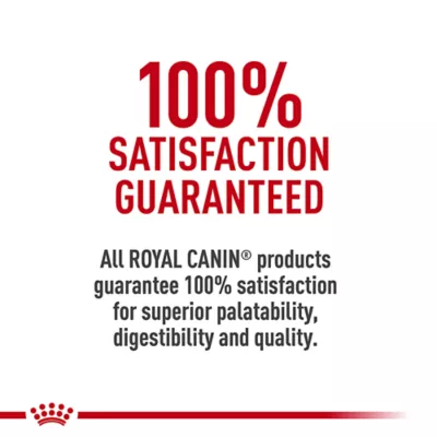 Product Royal Canin Adult Cat Wet Food - Indoor, Morsels in Gravy, 12 Ct, 2.2 Lb
