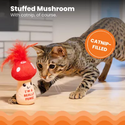 Product Catstages A Really Fungi Mushroom Kicker Catnip Stuffed Dental Cat Toy