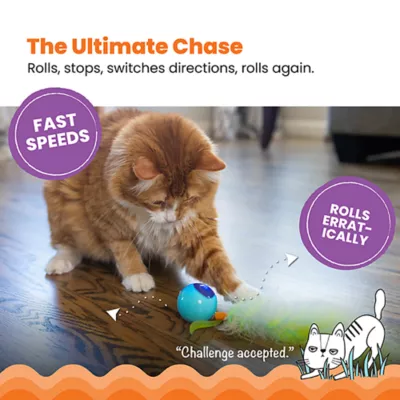 Product Catstages Roll & Chase Robot Cat Toy