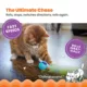 Product Catstages Roll & Chase Robot Cat Toy