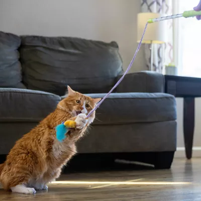 Product Catstages Twinkle Star Light Up Cat Wand