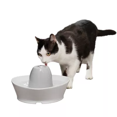 PetSafe® Creekside Ceramic Pet Fountain Cat