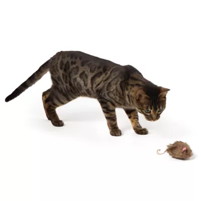 Product Whisker City® Natural Electronic Mouse Cat Toy
