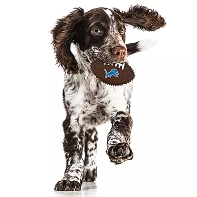 Product Detroit Lions Hard Nylon Football Dog Chew Toy