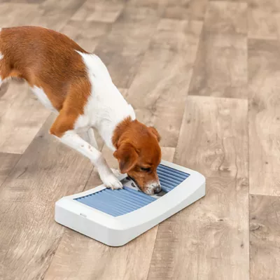 Product TRIXIE Dog Activity Rod Board Strategy Game, Level 1 Dog Puzzle Toy, Dog Treat Toy