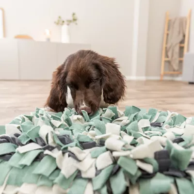 Product TRIXIE Dog Activity Snuffle Mat