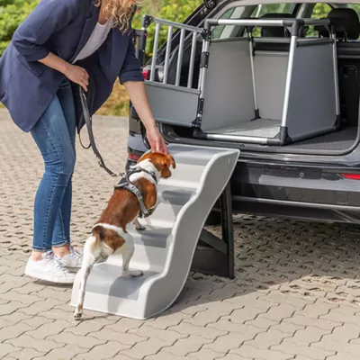 Product TRIXIE 4-Step Pet Stairs, Lightweight and Collapsible Steps Ideal for Dogs & Cats, Gray