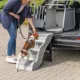 Product TRIXIE 4-Step Pet Stairs, Lightweight and Collapsible Steps Ideal for Dogs & Cats, Gray