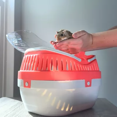 Product TRIXIE Pico Transport Crate, Portable Travel Carrier, For Small Pets, Hamsters, Lizards