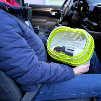 Product TRIXIE Pico Transport Crate, Portable Travel Carrier, For Small Pets, Hamsters, Lizards