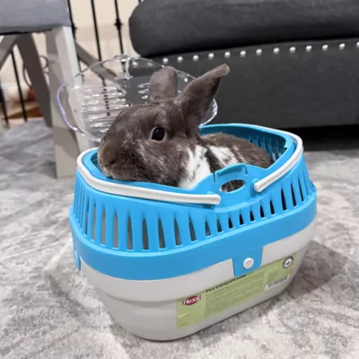 Product TRIXIE Pico Transport Crate, Portable Travel Carrier, For Small Pets, Hamsters, Lizards