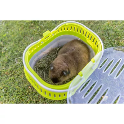 Product TRIXIE Pico Transport Crate, Portable Travel Carrier, For Small Pets, Hamsters, Lizards