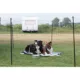 Product TRIXIE Portable Pet Fence, Mesh Dog Playpen, Outdoor Camping Fence, Easy to Transport