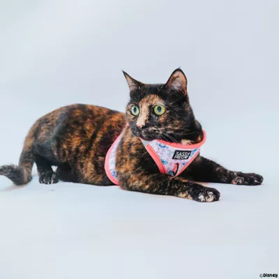 Product Sassy Meow Stitch Cat Harness