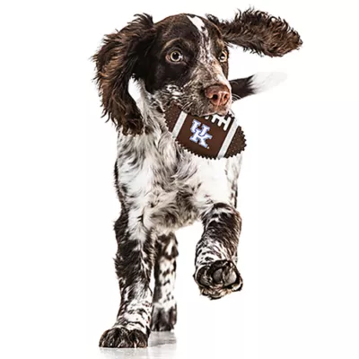 Product Kentucky Hard Nylon Football Dog Chew Toy