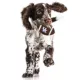 Product Kentucky Hard Nylon Football Dog Chew Toy