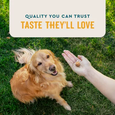 Product VetIQ Flea & Tick Chews for Dogs, 60 Count