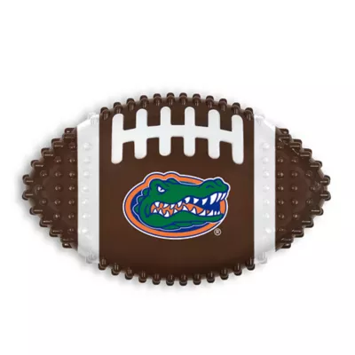 Product Florida Hard Nylon Football Dog Chew Toy