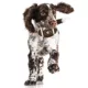 Product Georgia Hard Nylon Football Dog Chew Toy