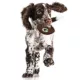 Product Green Bay Packers Hard Nylon Football Dog Chew Toy
