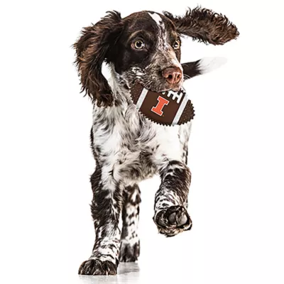 Product Illinois Hard Nylon Football Dog Chew Toy