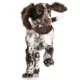 Product Indianapolis Hard Nylon Football Dog Chew Toy