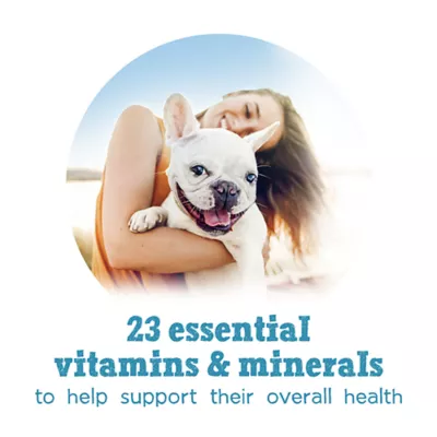 Product Beneful Incredibites Wet Dog Food Variety Pack - 24 Count