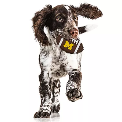 Product Michigan Hard Nylon Football Dog Chew Toy